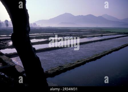 agriculture et paysage à la ville de Dali sur le lac ER Hai dans la province du Yunnan en Chine en Asie de l'est. Chine, Yunnan, avril 1996 Banque D'Images