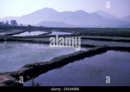 agriculture et paysage à la ville de Dali sur le lac ER Hai dans la province du Yunnan en Chine en Asie de l'est. Chine, Yunnan, avril 1996 Banque D'Images