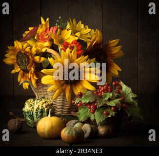 Encore la vie en couleurs de l'automne Banque D'Images