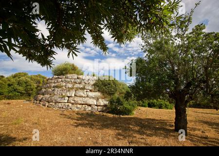 De sa circulaire Talaiot Clova Yacimiento arqueologico des Xot.de Sa Canova de Morell.Artà.Mallorca.Islas Baleares. España. Banque D'Images