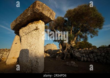 Recinto de taula.talaiótico Poblado de Talatí de Dalt, 1000 - 2000 av. Maó. (2011).Menorca Islas Baleares. España. Banque D'Images