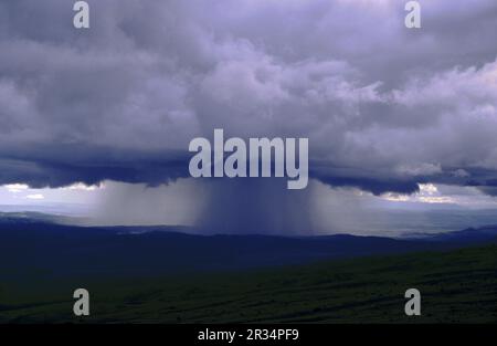 Tromba de agua sobre la sabana. Gran Sabana. Estado de Bolivar. Venezuela. Banque D'Images