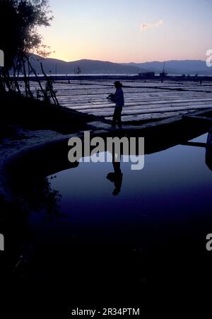 agriculture et paysage à la ville de Dali sur le lac ER Hai dans la province du Yunnan en Chine en Asie de l'est. Chine, Yunnan, avril 1996 Banque D'Images