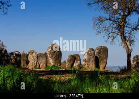 Dos Almendres Cromlech,neolitico antiguo -Alto das Pedras- Talhas, Nossa Senhora de Guadalupe,Valverde, Evora, Portugal, Alentejo, Europa. Banque D'Images