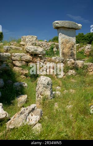 Taula de Sa Torreta (Torre Blanca).Parc naturel de s'Albufera des Grau.Menorca.Reserva de la Bioesfera.Illes Balears.España. Banque D'Images