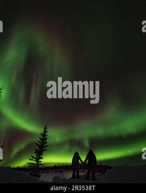 Des aurores boréales sont visibles dans le nord du Canada, territoire du Yukon. Couple, amoureux, deux personnes tenant des mains magnifique exposition de l'Aurora Borealis. Banque D'Images