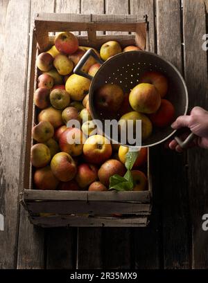 Divers types de pommes dans une caisse en bois et dans une passoire Banque D'Images