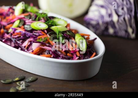 Salade de chou rouge avec carottes, fenouil, graines de citrouille et oignons de printemps Banque D'Images