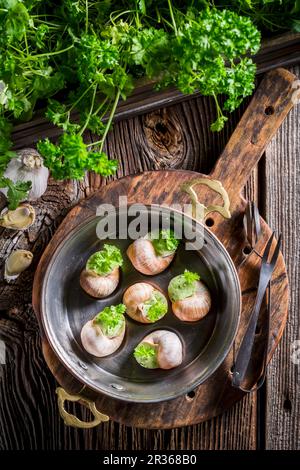 Escargots avec beurre à l'ail et persil Banque D'Images