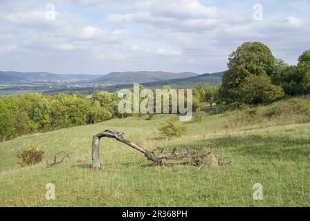 Le Walberla est une exception escarpment à frankish suisse, Allemagne, bavière Banque D'Images