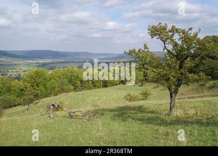 Le Walberla est une exception escarpment à frankish suisse, Allemagne, bavière Banque D'Images