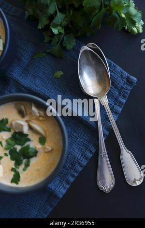 Cuillères et soupe aux champignons millésimés Banque D'Images