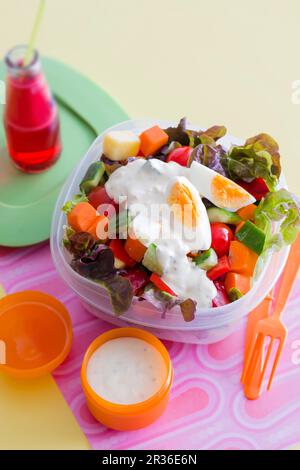 Salade de légumes avec sauce au yaourt et œuf dur Banque D'Images