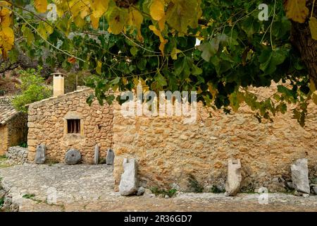 Chambre des Horts, Comellar des Horts, Soller, Majorque, Iles Baléares, Espagne, Europe. Banque D'Images