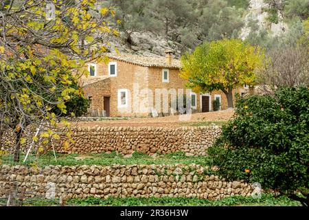 Chambre des Horts, Comellar des Horts, Soller, Majorque, Iles Baléares, Espagne, Europe. Banque D'Images