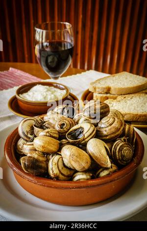 Caracoles a la mallorquina,celler de Randa,llucmajor, Mallorca, Islas Baleares, Espagne. Banque D'Images