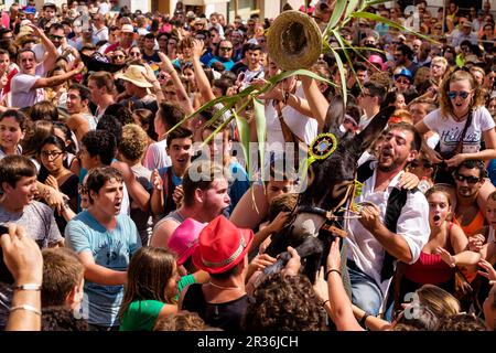 Parodia de Jaleo Jaleo, d'Ases, Fêtes de Sant Bartomeu, Ferreries, Minorque, Iles Baléares, Espagne. Banque D'Images