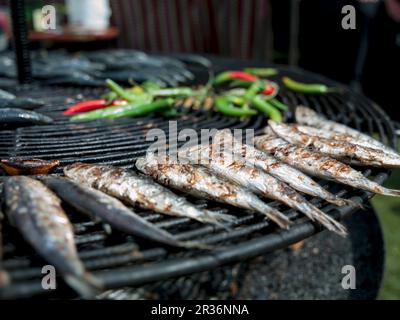 Sardines et piments au barbecue Banque D'Images