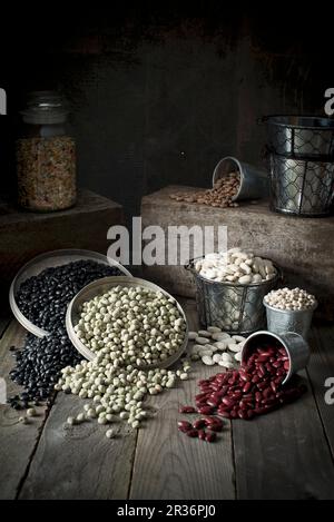 Divers types de haricots dans des récipients Banque D'Images