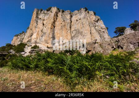 Ruta del rio Borosa, tuneles de la central electrica del salto de Los Organos, Parque Natural sierras de Cazorla, Segura y Las Villas, Jaén, Andalousie, espagne. Banque D'Images