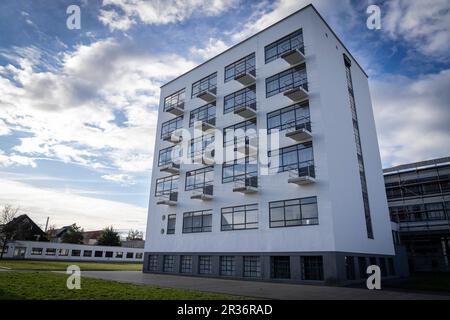 résidences pour étudiants, . bauhaus School, Dessau, République fédérale d'Allemagne. Banque D'Images