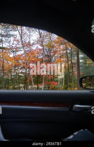 Magnifique feuillage d'automne dans un parc national du Canada Banque D'Images