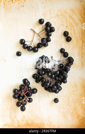 Beaucoup de baies aronia sur du papier de cuisson usagé Banque D'Images