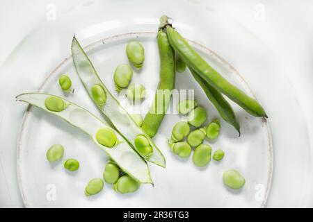 Larges gousses de haricots, certaines ouvertes et avec les haricots enlevés, dans un plat en céramique Banque D'Images