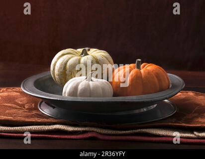 Un arrangement de trois citrouilles décoratives dans un plat en métal gris Banque D'Images