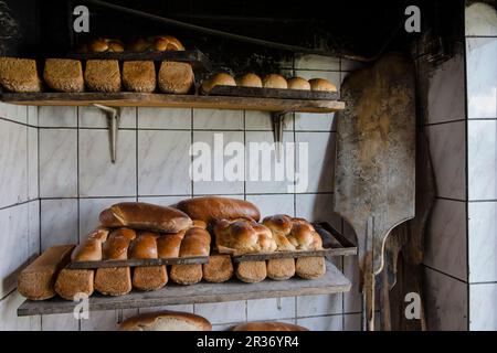 Hefezöpfe (pains doux du sud de l'Allemagne) et pains d'étain (de pâte aigre et de pain de seigle complet) d'un poêle à bois Banque D'Images