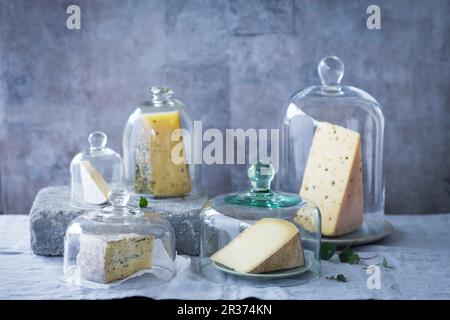 Plusieurs variétés de fromage sous des cloches de fromage Banque D'Images