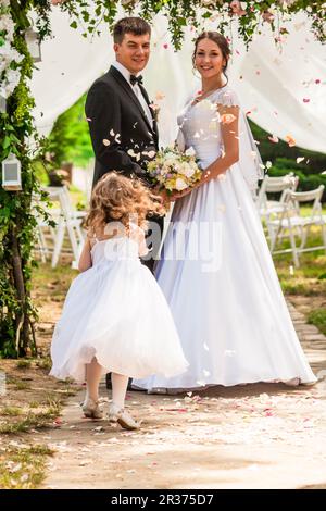 Pétales de rose volante pour mariage Banque D'Images