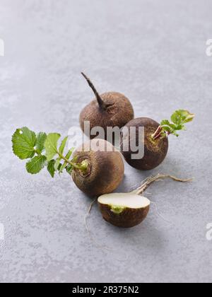 Radis noir du daikon Banque D'Images