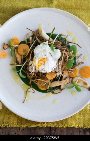 Un œuf poché sur les poireaux frits avec purée d'épinards, herbes, kumquats et pousses de bourrache Banque D'Images