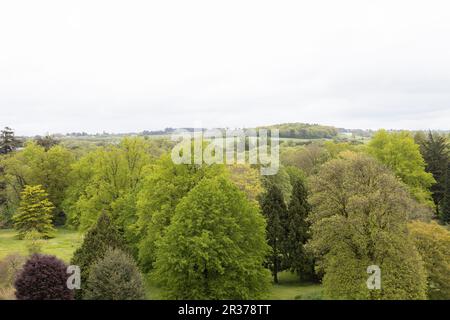 Vue depuis le sommet du château de Blarney en Irlande. Banque D'Images