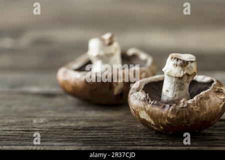 Deux champignons portobello on a wooden surface Banque D'Images