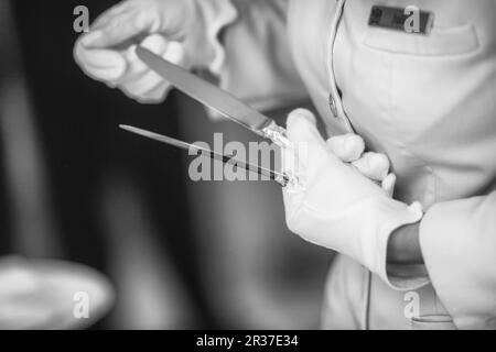 Un polissage de l'argenterie d'aide de cuisine dans un restaurant. Banque D'Images