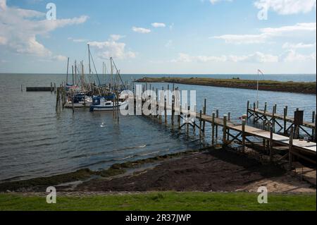 Port, Rantum, Sylt, Frise du Nord, Schleswig-Holstein, Allemagne Banque D'Images