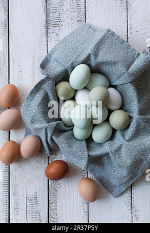 Les œufs de couleur différente Banque D'Images