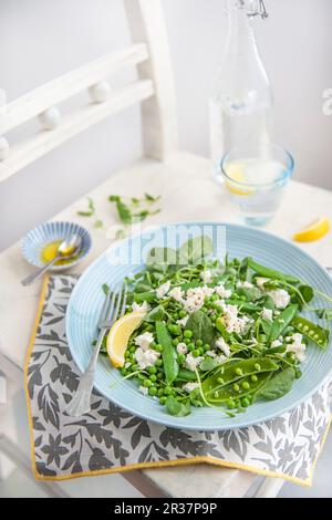 Salade de petits pois, de pashots, de haricots et de feta avec de l'huile d'olive et du citron Banque D'Images