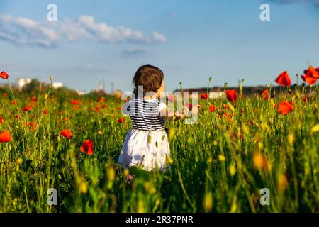 Fille de coquelicots Banque D'Images