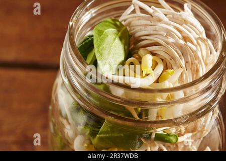 Ramen instantané de wholegrain avec pousses dans un pot en verre Banque D'Images