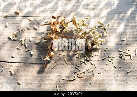 Diverses herbes séchées et fleurs d'herbes sur une surface en bois Banque D'Images