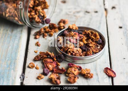 Granola aux fèves de cacao et aux fruits secs Banque D'Images