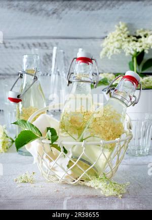 Sirop d'Elderflower en petites bouteilles dans un panier métallique Banque D'Images