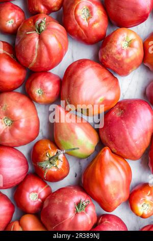 Heirloom tomatoes frais Banque D'Images