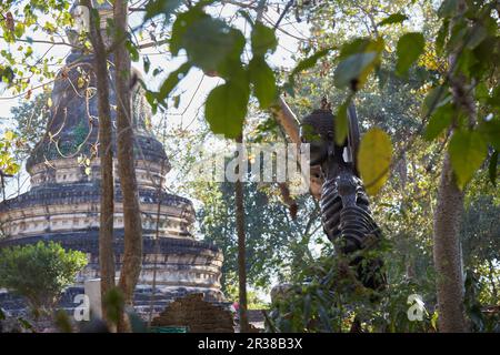 Wat Umong à Chiang Mai, en Thaïlande, a été créé au 13th siècle par le roi Mangrai, fondateur du Royaume de Lanna Banque D'Images