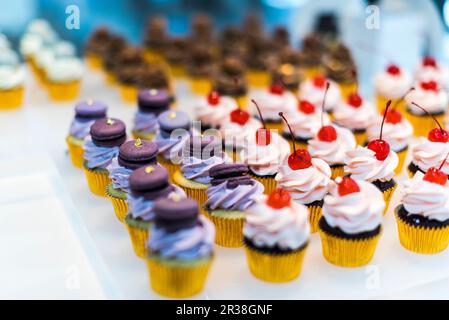 Cupcakes dans l'armoire d'affichage Banque D'Images