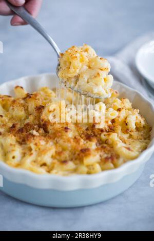 Fromage macaroni (cuit aux pâtes) dans un plat de cocotte Banque D'Images