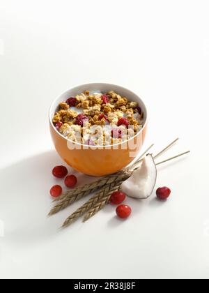 Muesli croquant aux canneberges et à la noix de coco dans un petit bol Banque D'Images